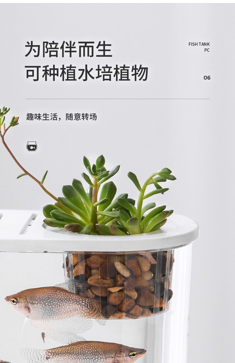 0348a76e-345d-4c2f-8100-468c446f3db6.jpe