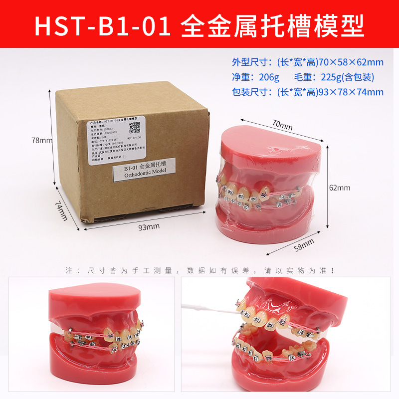 Modelo de ortodoncia dental semi-metal semibrackets Práctica de corrección de molde dental estándar Comunicación médico-paciente Modelo de enseñanza Modelo dental