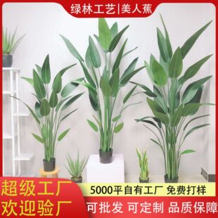 SֱN˽͏d͏db٘䱱WԷֲG