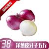 fresh Xinjiang Vegetables Onion 5 Skin sprout seed Purple On behalf of