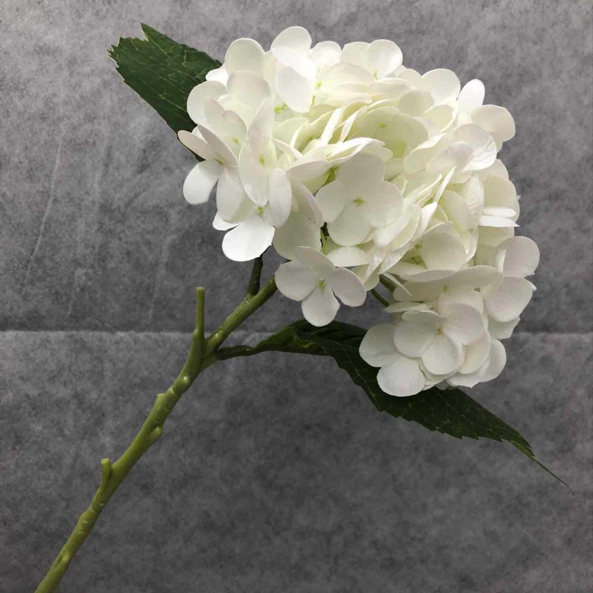 순수한 흰색