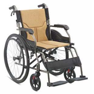 ��ɽ�|����݆ͨ��FS869LAJPF4