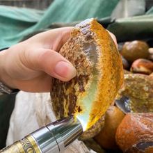 巴西天然玛瑙原石毛料标本观赏鱼缸聚宝盆水胆可雕刻手把件摆件料