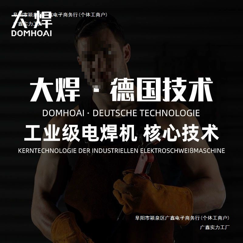 Large welding WS-250 arc welding machine German technology 220V home small stainless steel dual-use multi-function welding machine