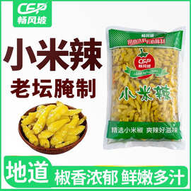 泡椒辣椒小米辣椒野山椒云南风味小米椒剁椒泡菜泡凤爪调料批发价