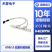 9ת˫usb 9PinתUSB2.0ĸ usb ˿ usb