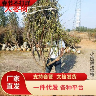 һ�����l������玧���ش��Ϸ��������ͥԺ�ͺ�����Y����z����