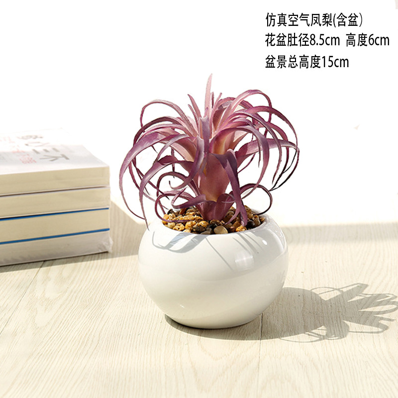 에어 파인애플 퍼플 + 세라믹 세면대