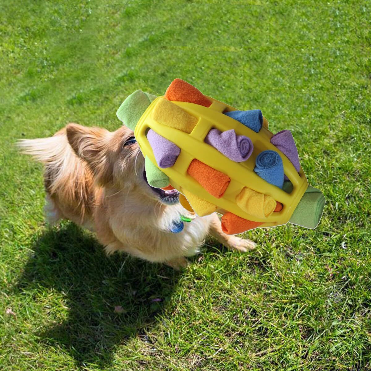 Factory Direct sales cross-border new pet toy pet sniffing ball dog toy pet Puzzle interactive Rugby