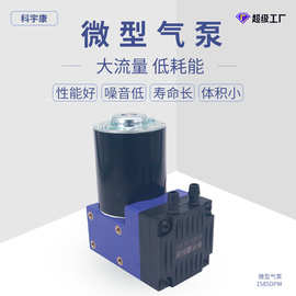 KYK1585DPM厂家批发汽车气泵充气气动隔膜泵无泄漏防爆增压泵