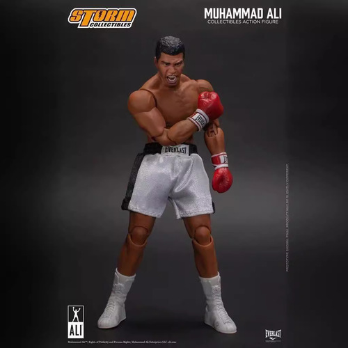 Factory Direct Sales, Mike Tyson, Ali's Champion, Mike Tyson, Three-Headed Eagle Action Figure