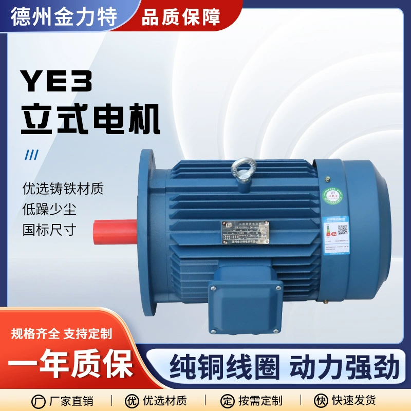 4-полюсный YE3 трифазный асинхронный двигатель 0.55kW-30kW полностью медный вертикальный двигатель 380V вертикальный двигатель