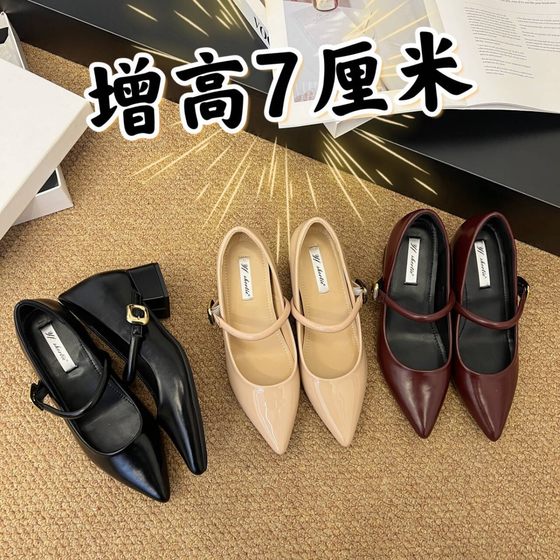 French Pointed Toe Height-increasing Single-layer Shoes Women's 2025 Spring New Retro All-match Elegant One-word Shoes with Thick Heel Mary Jane Shoes