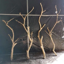 干树枝原木杈艺术干枝枯枝枯木树干鸟架造型壁挂衣架吊顶树枝装严