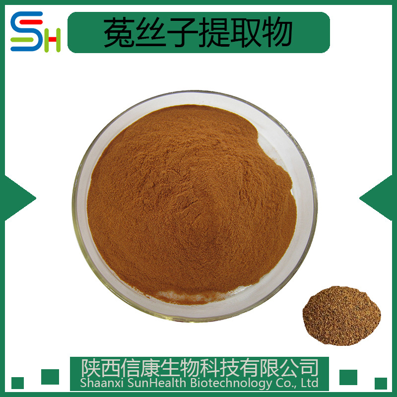 菟丝子提取物 98% 菟丝子皂甙/苷 菟丝子浓缩粉 量大优惠