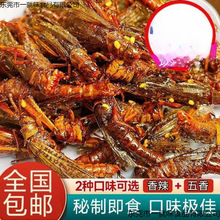 新鲜蚂蚱油炸即食酥脆开袋即食蚱蜢零食香辣虫子熟食低脂养生零食