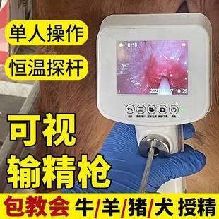 输精牛用人工授精配种猪牛马输精设备兽用可视工具枪器羊养殖牛用-阿里巴巴