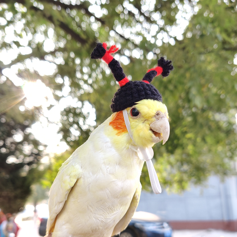 O1CN01Okdl7E1pXy3x9FDgB_!!3887