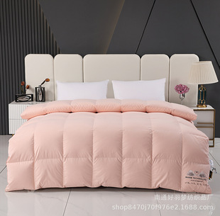 ¿Ŵĥëq ԳqqװƷql