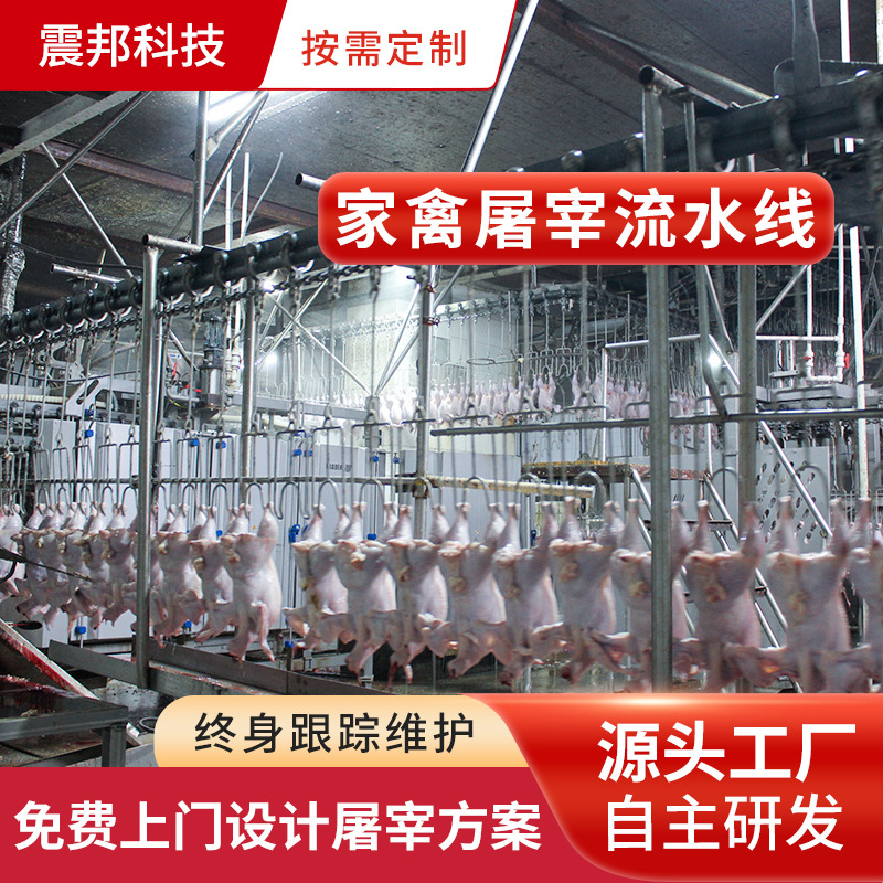 家禽屠宰及屠宰生产线 小型肉鸡屠宰加工设备 毛鸡屠宰加工生产线