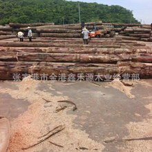 ֱ�N��Ƥ��ԭľ ��ľ��� ��z̴ľ ľ�� ��ɰ� �Ҿ��� �҃��b��