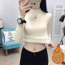 һwqӺIëŮﶬ¿ӽqᘿůȴٴ