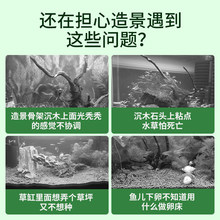 莫斯水草鱼缸造景套餐草缸懒人前景大三角垂泪莫斯球阴性植物水草
