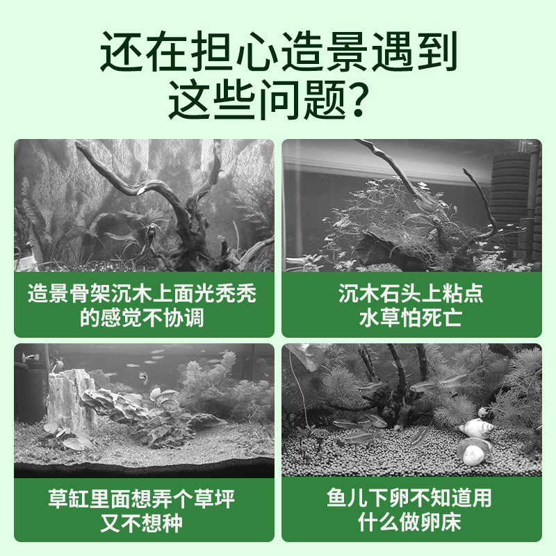 莫斯水草鱼缸造景套餐草缸懒人前景大三角垂泪莫斯球阴性植物水草