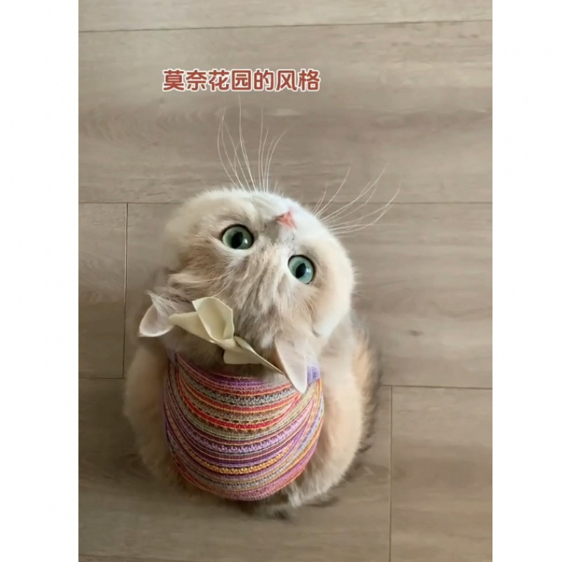 Cute ropa de gato de verano delgada hueco chaleco de tejido de color con hebilla de tracción muñeca gato chaleco de oro