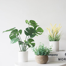 �͏d�����b�ins����ٻ�����Gֲ���Զ�����滨С�[��ֲ��