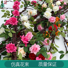 Lõ õٗl ҃ȹܵ늾p@bٻ SֱN