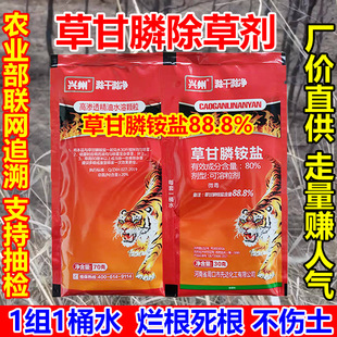 �ݸ���@�}�������݄������������@�s�ݰٲ��B�����ݸ��88%���l