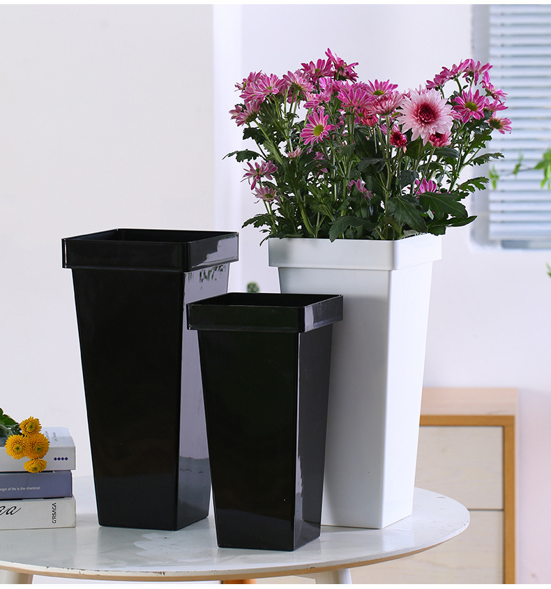 i2uUjf6mxdTrdS47SARxxFQSrhS46zEyZh4u