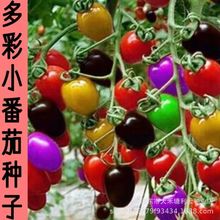 СѷN߲}ŮС̨ͥԺˮ߲˷N