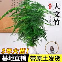 ��������ֲ���k���҃ȾGֲ���ܿ͏d�ش�������簫���߶�����辰