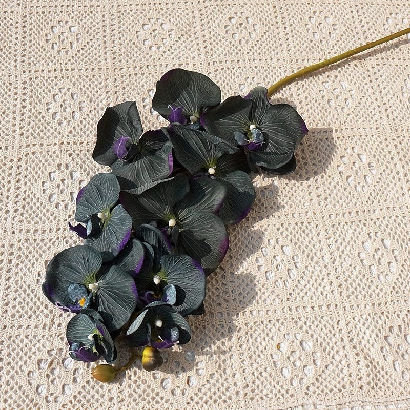 O1CN01Fyuo4U1s540htwTQ3_!!4036