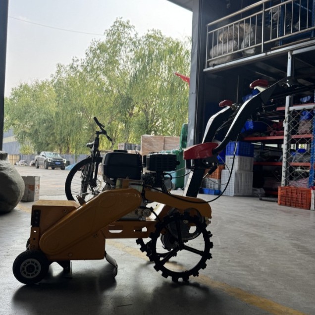 2025-09-22 15:51:48.jpg