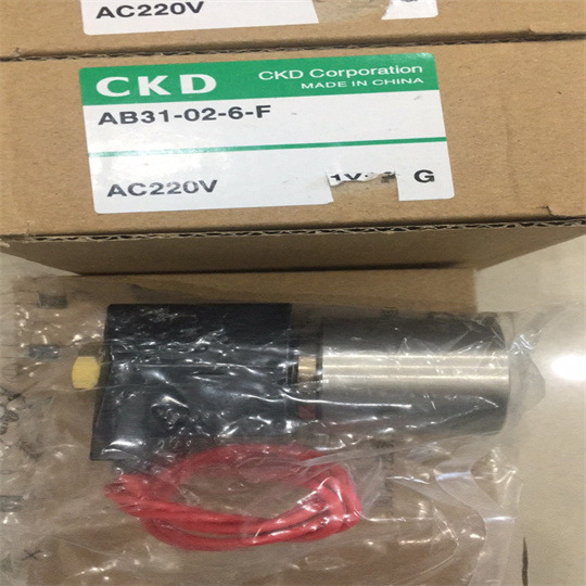 AB31-02-6-F AC220圖