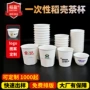 一次性定制加厚功夫茶杯