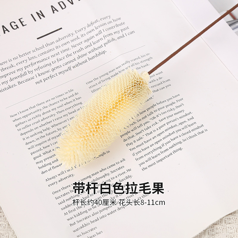 줄기가 있는 하얀 털 과일