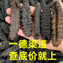 厂家批发大量海参干货发量大统货20-40头厚肉精选螺丝参