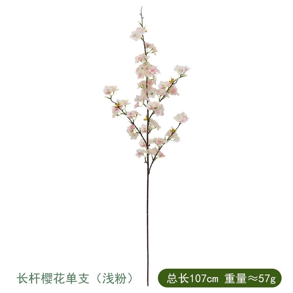 긴 사쿠라 단일 빛 분말