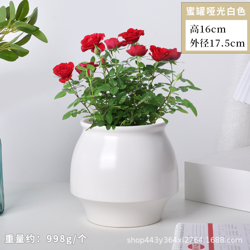 Cerámica orquídea mariposa maceta especial ins crema viento alto sentido decoración del hogar verde cerámica maceta grande image 14