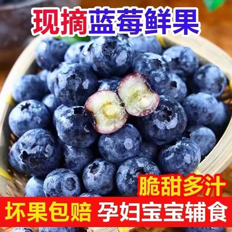 Свежая черника, свежие фрукты, элитные фрукты, сезонная свежепрожженная черника, альпийская черника, очень крупные фрукты, целая коробка из 8 коробок для беременных.