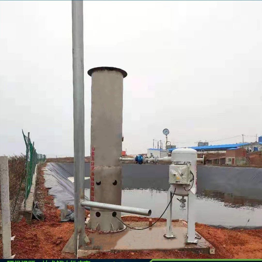 工厂专供山东泽轩沼气火炬生态农业沼小型沼气火炬