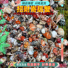 ����ľ�з�^�pз���T����з����з��ꑻҰ������^�pз����