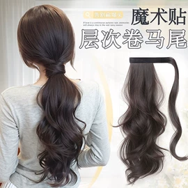其他假发;假发马尾;假发片