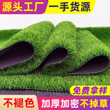 �Gɫ�����˹��ٲ�ƺ�׃��@�������������ƺ���̇�����Ƥ���l