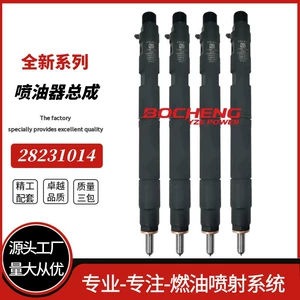 28231014 Great Wall Haval H5 H6 Fengjun 4D20 dizel injektor ucu