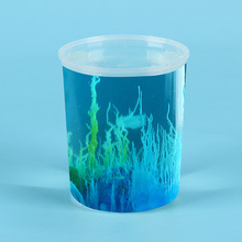 ˮ�л��@С�W���ֹ�DIY�Ƽ�С������ͯSTEM�ƻ��W���С������l